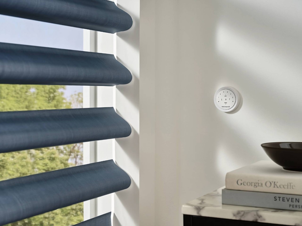 Hunter Douglas Pirouette® Sheer Shades with PowerView® Automation near Bellevue, WA